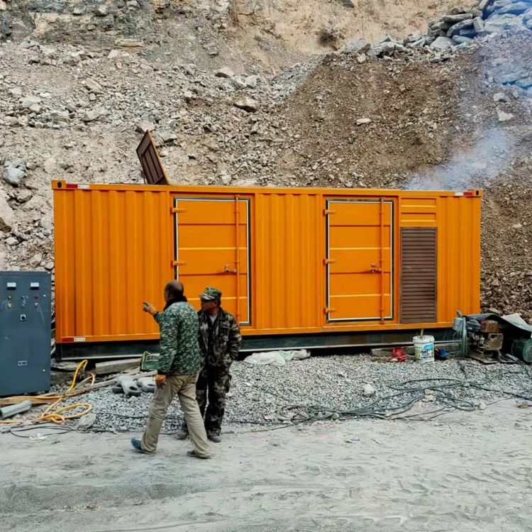 新平如何选择适合自己的 800KW 柴油发电机组？